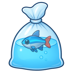 Neon Tetra