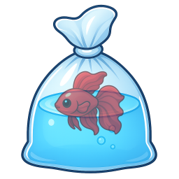 Ruby Betta