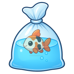 Pond Koi