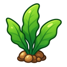 Java Fern