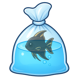 Obsidian Angelfish